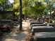  cimetière du Montparnasse